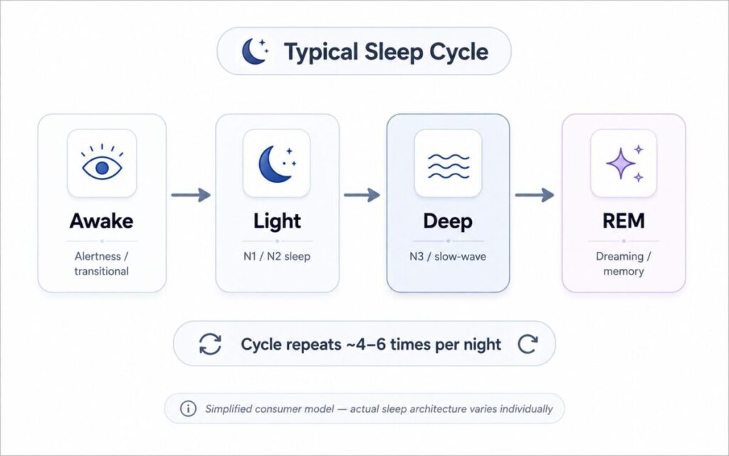 Sleep stages cycle diagram showing awake, light, deep, and REM sleep phases