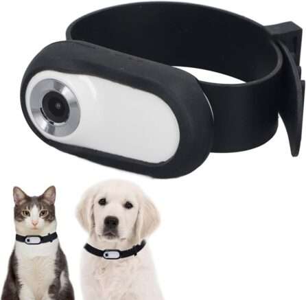 Wearable Cameras for Pets
